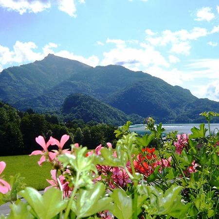 Fruehstueckspension Seeblick Sankt Gilgen Extérieur photo