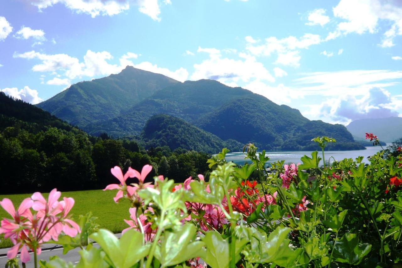Fruehstueckspension Seeblick Sankt Gilgen Extérieur photo